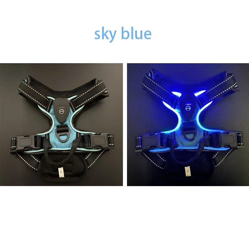 GlowPaws™ High-Visibility LED Safety Harness - USB Rechargeable