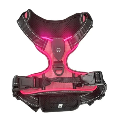 GlowPaws™ High-Visibility LED Safety Harness - USB Rechargeable