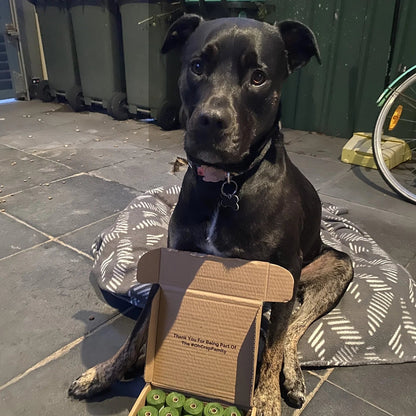 Oh Crap Compostable Dog Poop Bags