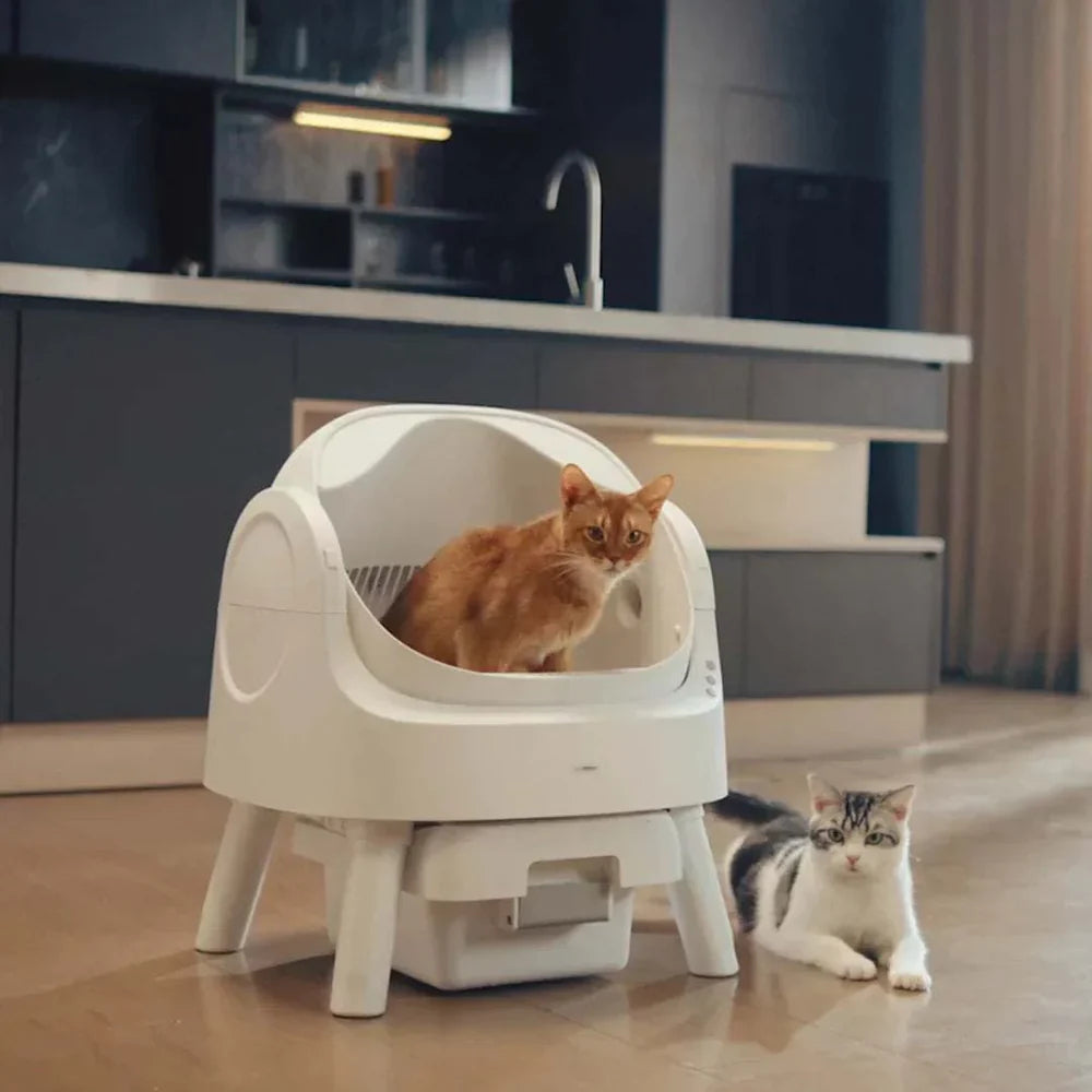 Self-cleaning Smart Cat Litter Box - Automatic Cat Litter Box