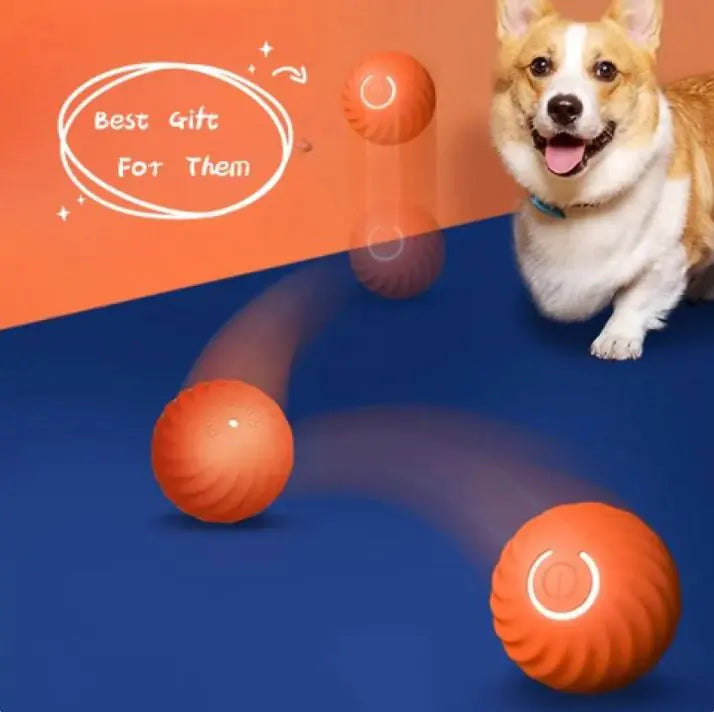Pet Dog Rubber Ball
